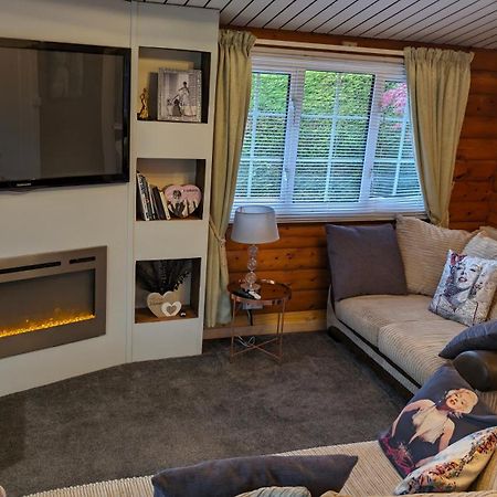 TrawsfynyddSnowdonia Log Cabin 2别墅 外观 照片