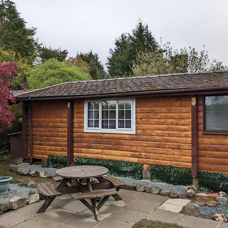 TrawsfynyddSnowdonia Log Cabin 2别墅 外观 照片